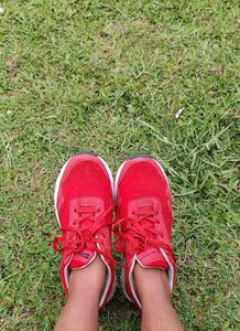 Sega Running shoes new