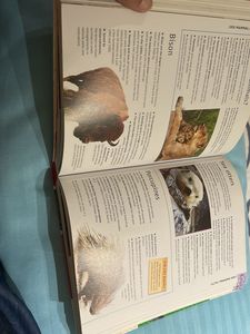 6000 Awesome Facts Book