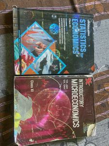 Class XI Economics Books Set