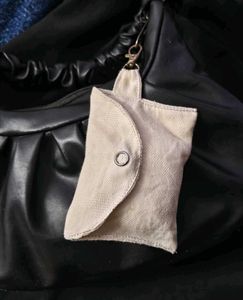 Small Pouch with Clasp
