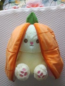 Cute Carrot Pouch plushie toy