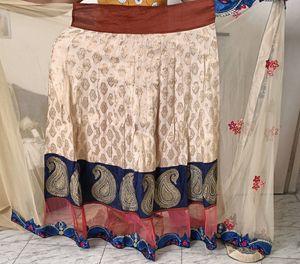 Beautiful Saree/ Ghagara