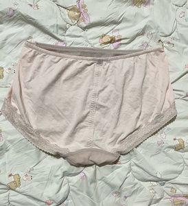 Elegant Lace Briefs