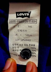 Levi's Blue Plaid Denim Shirt
