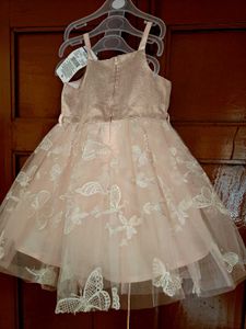 Adorable Baby Girl Dress
