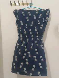 Vintage Gramophone Print Dress with lining