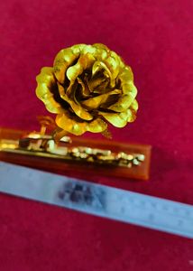 Golden Rose