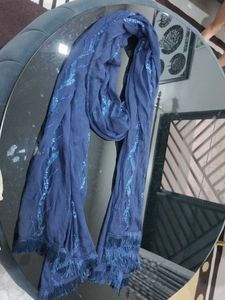 Beautiful Blue Embellished Dupatta