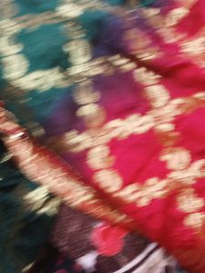 zari saree