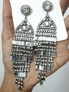 RUNWAY MODEL Dazzling Earrings