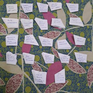 Flowering Plant Seeds (22 varieties)