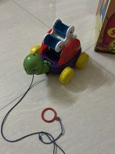 Pull-Along Turtle Toy