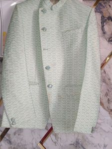 Men's Light Green Ethnic jothpuri set with pant