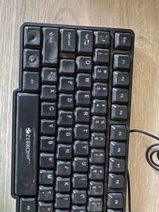 Zebronics Computer Keyboard