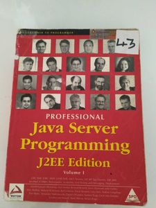 Professional Java Server Programming