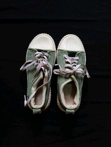 Olive Green Canvas