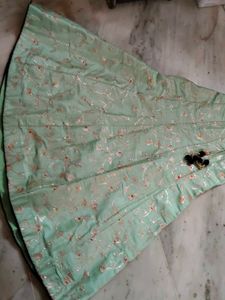 Elegant Mint Green Lehenga choli set