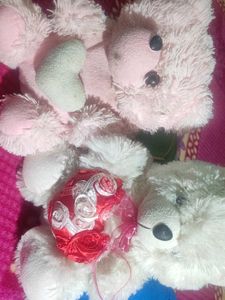 Set Of Bears Combo