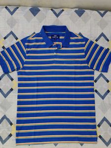 Blue Striped Polo T-Shirt