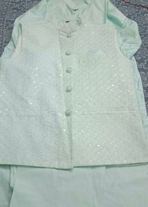 Classic Light Green Kurta