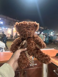 Cute Brown Teddy Bear