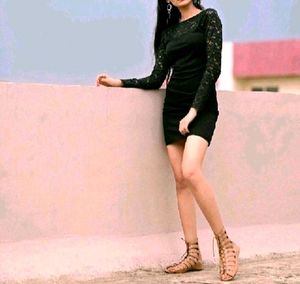 Chic Full Sleeve Bodycon With Black Sheer