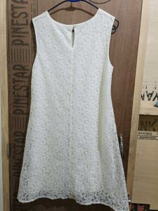 Elegant Lace Dress