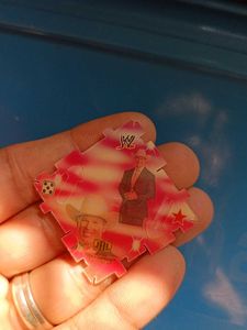 Vintage bigbabol WWE freebies