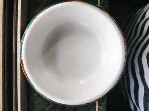 Pet Food Bowl