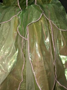 Fairy Dress