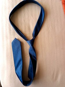 Stylish Blue Necktie