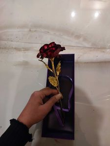 Love Red Golden Rose