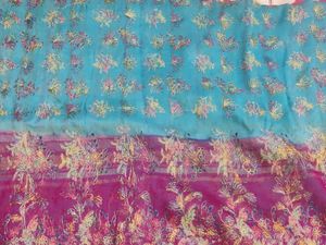 Saree In 2 Colours Shades.
