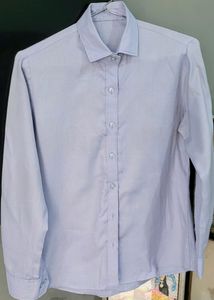Woman Blue Solid Long Sleeves Casual  Shirt