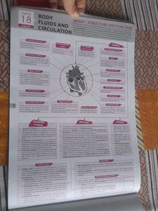 MTG Biology Concept Map Book