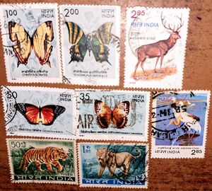 Set of 1980s Vintage butterfly &amp; wildlife