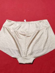 Women's Nude Seamless Full Brief Panty | 4XL