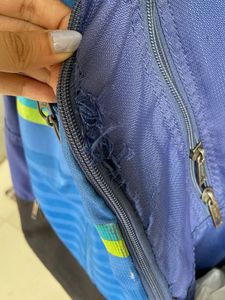 American Tourister Blue Backpack
