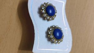 Blue Stone Earrings