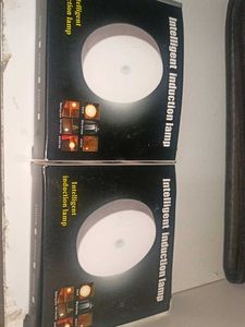 LED Intelligent Night Light
