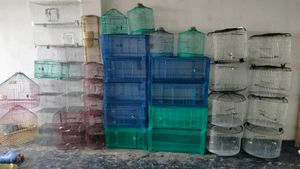 Cage For Birds ( Pijara)