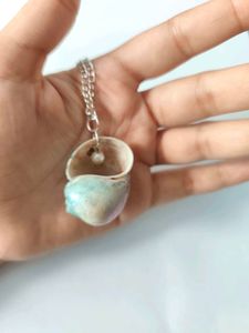 Enchanting Spiral Seashell Necklace
