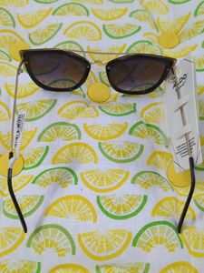 Aldo Sunglasses _1381