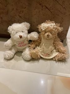 Set of 2 Teddy Bears