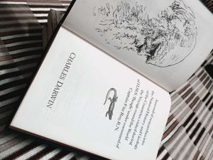 Voyage of the Beagle by Charles Darwi