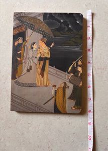 pahari/ kangra art sketchbook