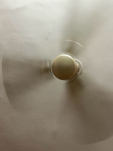 Havells And Orient Fan