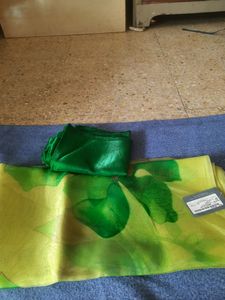 New Brand Saree Organza