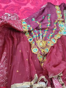 Designer Saree Cum Lehanga