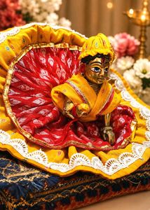 Beautiful Krishna Idol with Attire